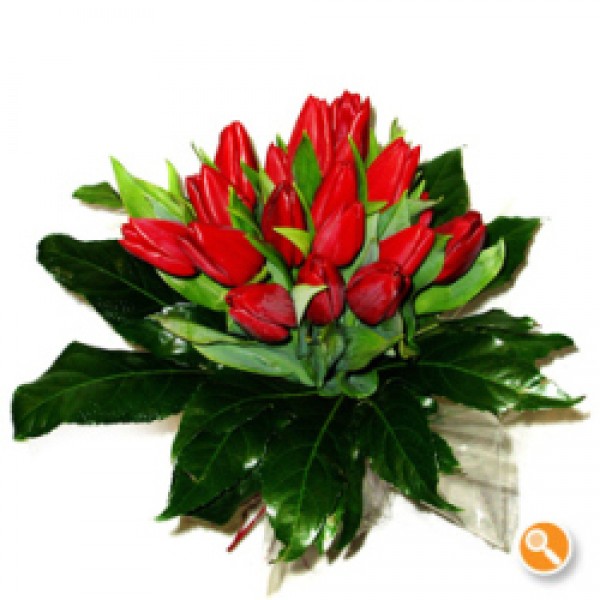 Bouquet de Tulipas  vermelhas